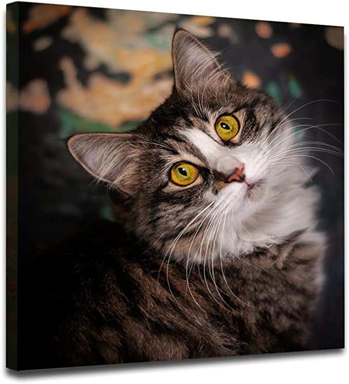 Customize Canvas Prints With Your Photo Canvas Wall Art Personalized Canvas Picture, Customized To Any Style, Us Factory ,Gifts For Family, Wedding, Friends, Home Decoration,Pet Animal Wrapped Canvas Colorful Oversized 41In Painting Prints And Posters