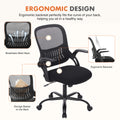Sweetcrispy Office Mid Back Ergonomic Mesh Computer Desk Larger Seat Executive Height Adjustable Swivel Task Chair With Lumbar Support Black Nylon Mesh