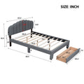 Teddy Fleece Queen Size Upholstered Platform Bed With Drawer, Gray Gray Fleece