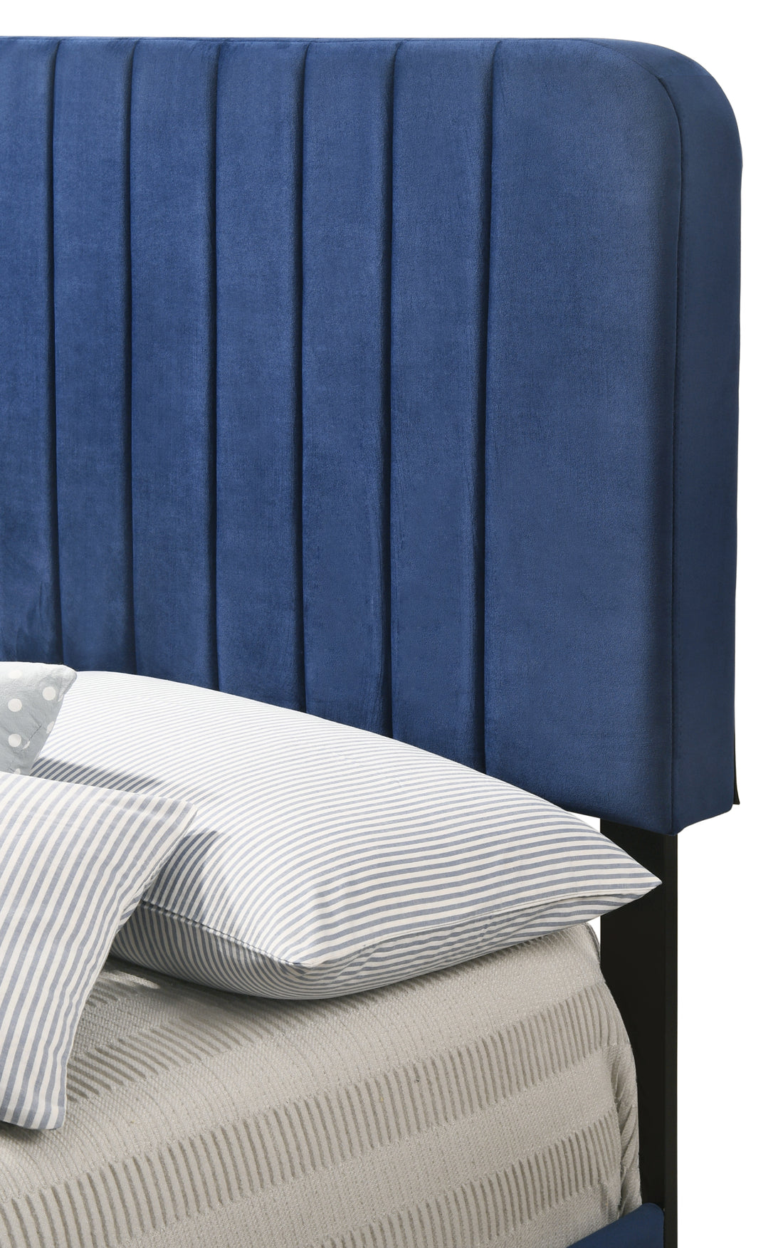 Lodi G0409 Tb Up Twin Bednavy Blue Navy Blue Foam Velvet