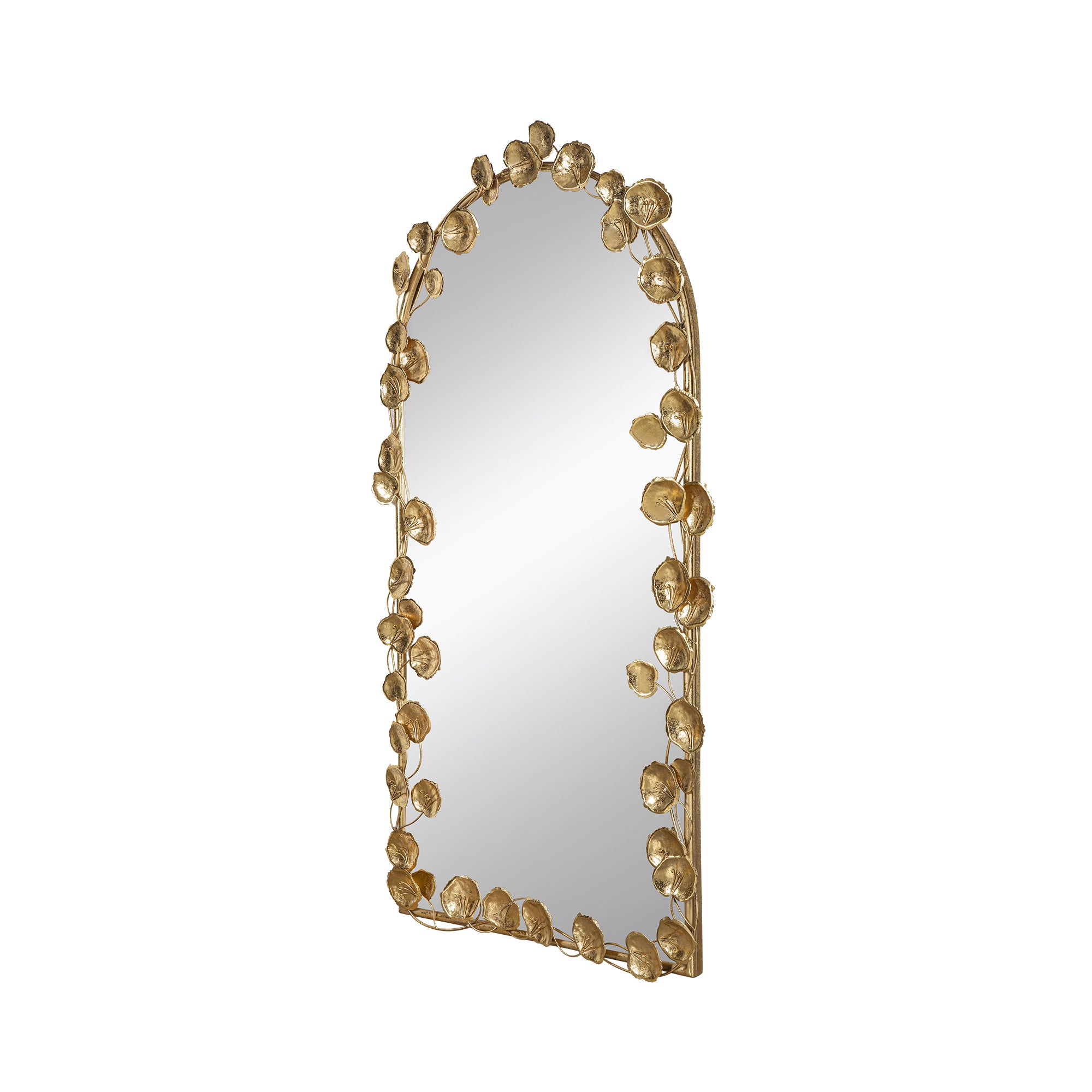 51.5" x 29" Full Length Arched Wall Mirror with Golden gold-iron