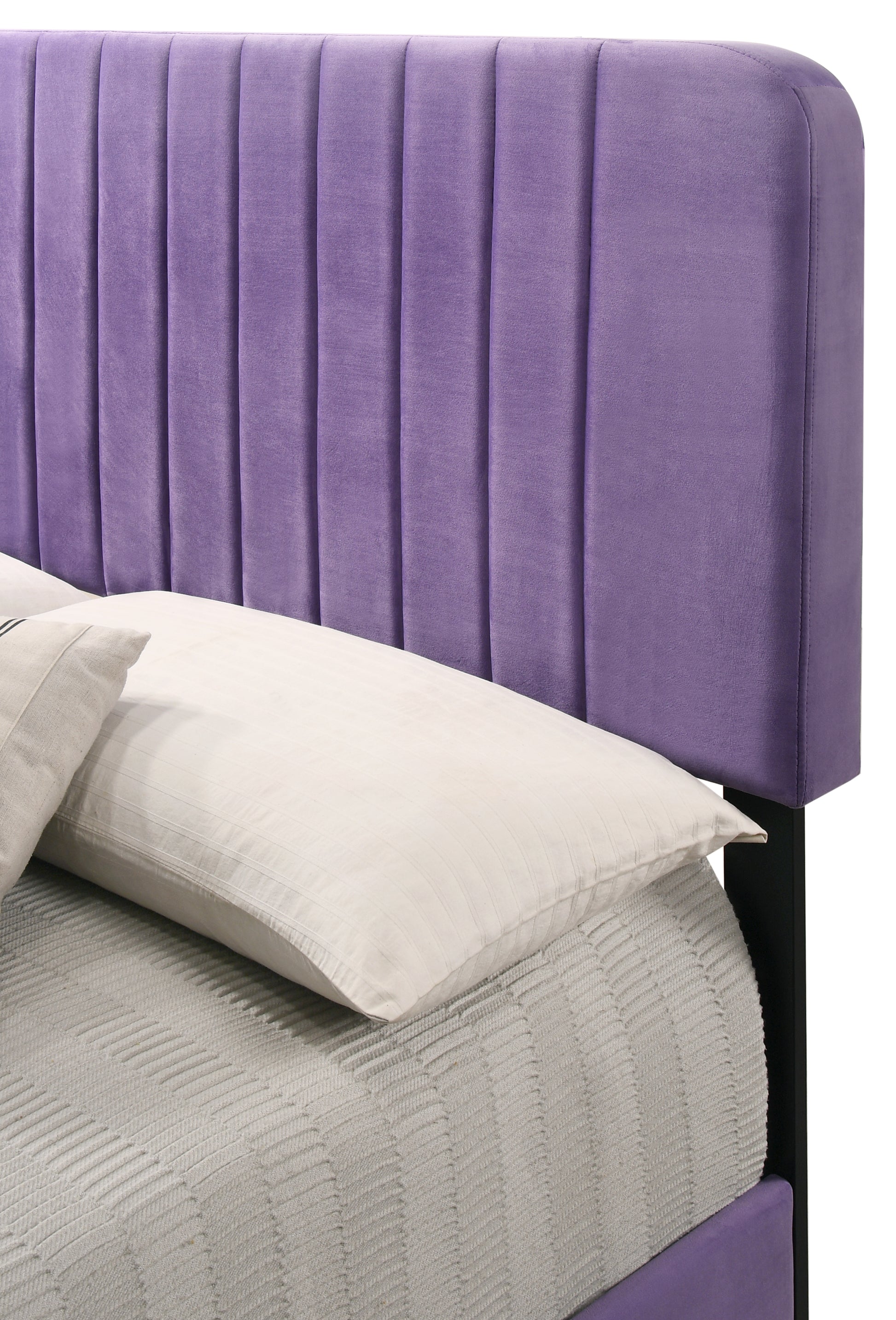 Lodi G0502 Qb Up Queen Bedpurple Purple Foam Velvet