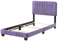 Lodi G0502 Tb Up Twin Bedpurple Purple Foam Velvet