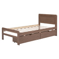 Modern Design Twin Size Platform Bed Frame With 2 Drawers For Walnut Color Twin Walnut Rubber Wood