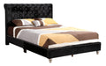 Maxx G1942 Kb Up Tufted Upholstered Bedblack Black Foam Velvet
