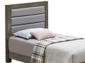 Stylish Gray Twin Bed With Versatile Design Box Spring Required Twin Gray Particle Board