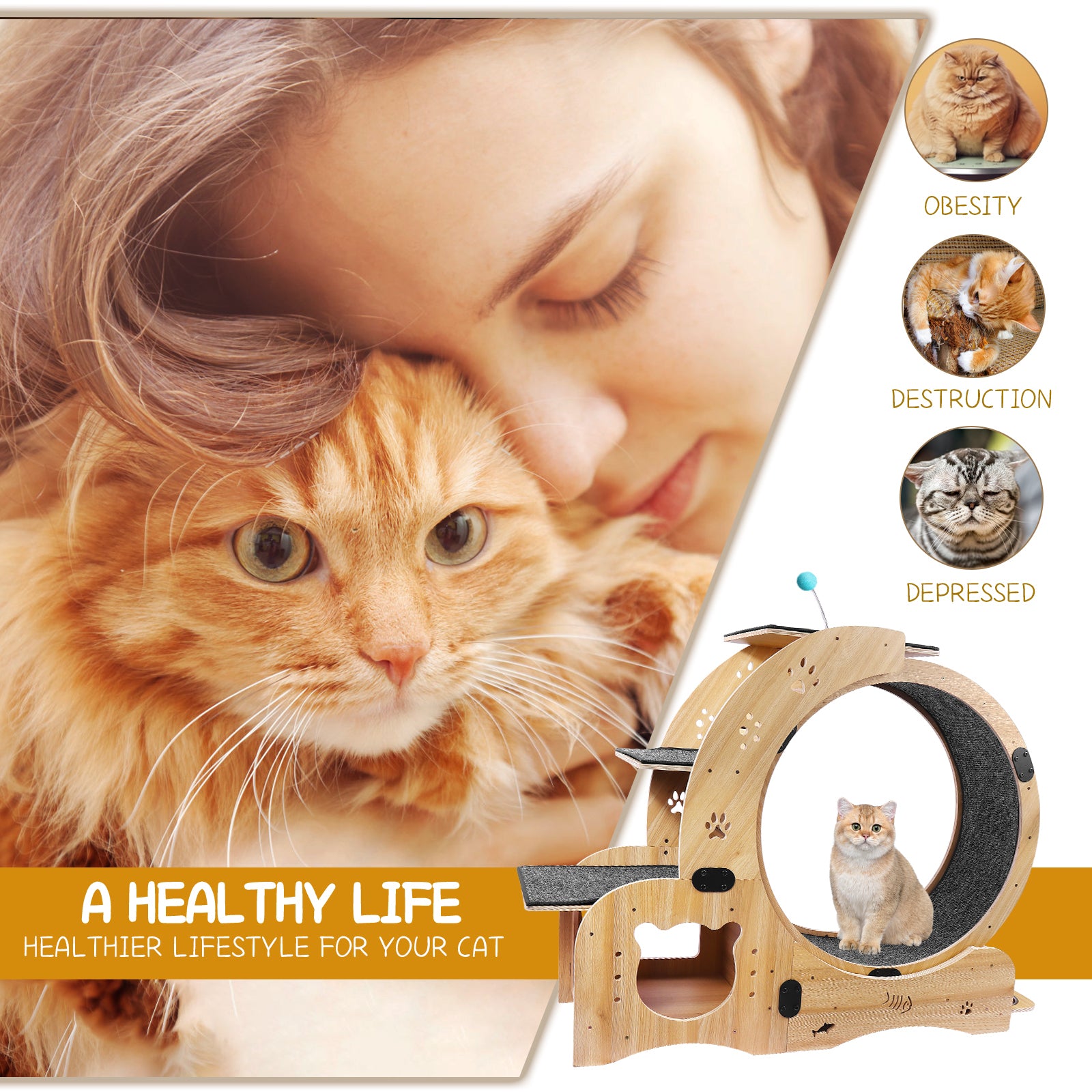 Cat Wheel 6 In 1 Cat Exercise Wheel,Upgraded Cat Wheel Exerciser For Indoor Cats,Large Cat Treadmill,Cat Running Wheel With Silent Wheel,Cat Walking Wheel Cat Furniture Cat Toys Natural Wood Wood