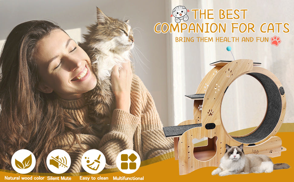 Cat Toys Cat Exercise Wheel Diy Cat Exercise Wheel By One Fast Cat