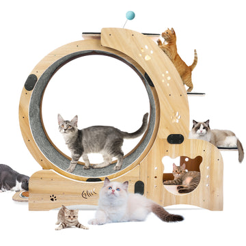 Cat Wheel 6 In 1 Cat Exercise Wheel,Upgraded Cat Wheel Exerciser For Indoor Cats,Large Cat Treadmill,Cat Running Wheel With Silent Wheel,Cat Walking Wheel Cat Furniture Cat Toys Natural Wood Wood