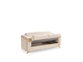 Luna Modern Style Loveseat In Ivory Ivory Velvet Wood Primary Living Space Contemporary,Modern Upholstered Wood