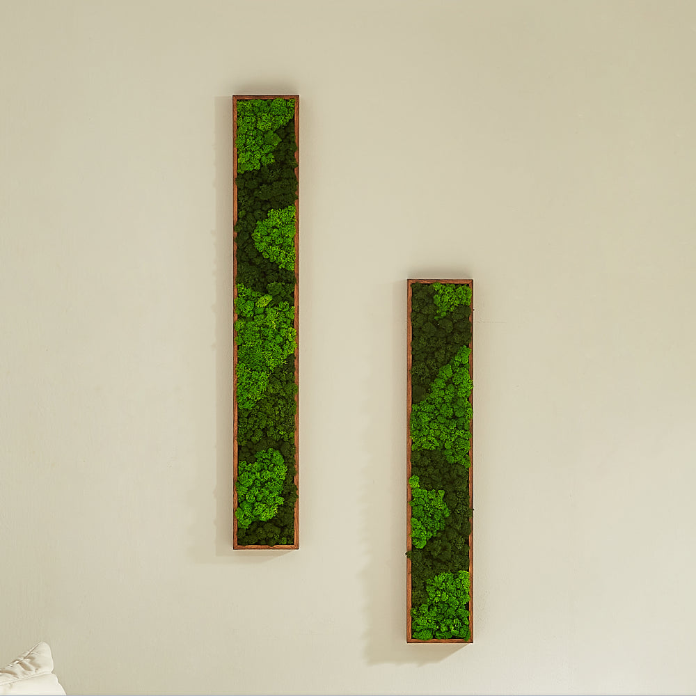Rectangular Mixed Moss Wall Art 2pcs green-iron