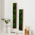 Rectangular Mixed Moss Wall Art, Only The Medium Pc Green Iron