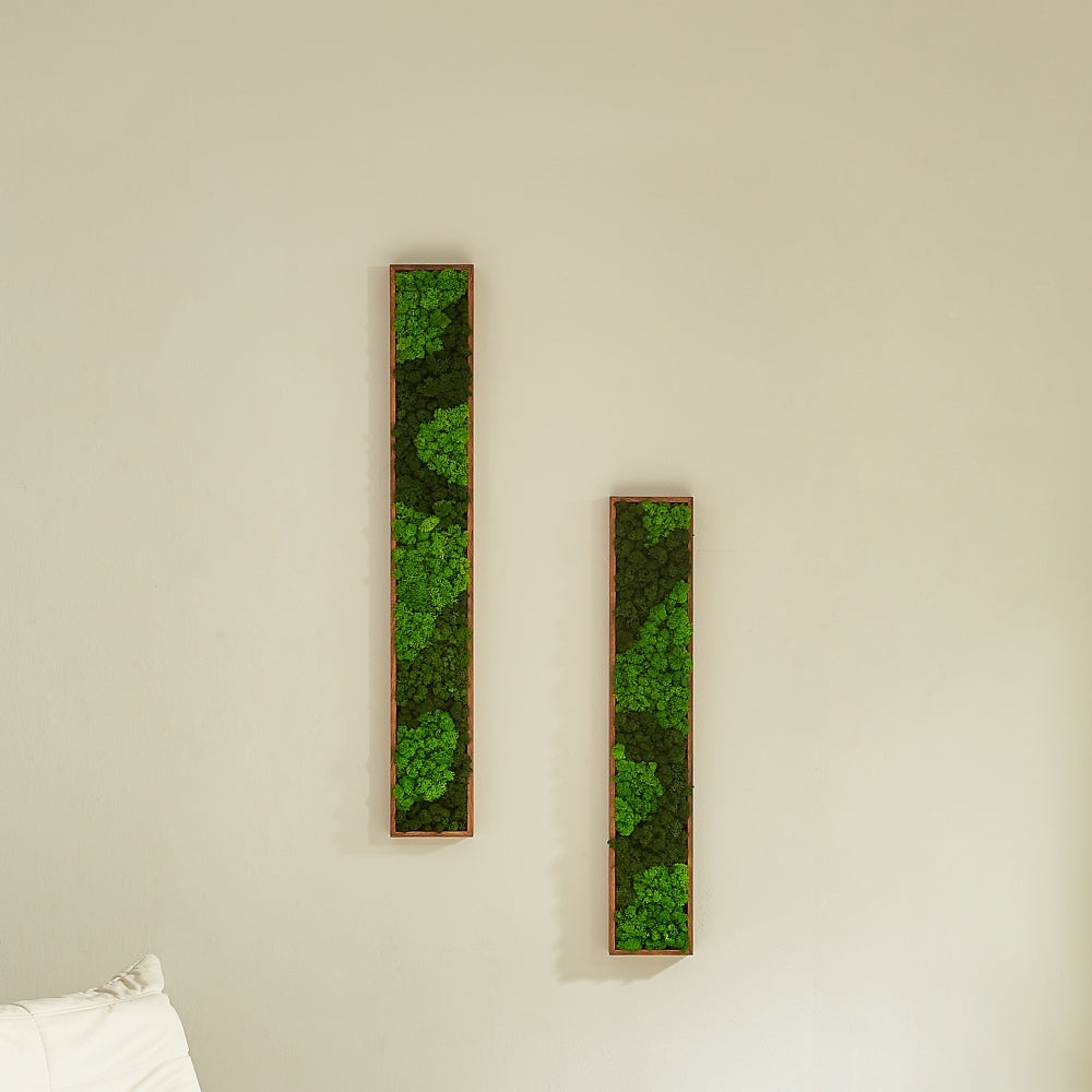 Rectangular Mixed Moss Wall Art, only the Medium pc green-iron