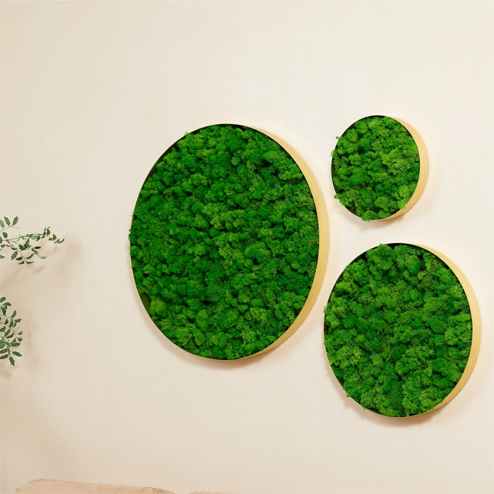 Round Framed Moss Wall Decor 3Pcs Green Iron