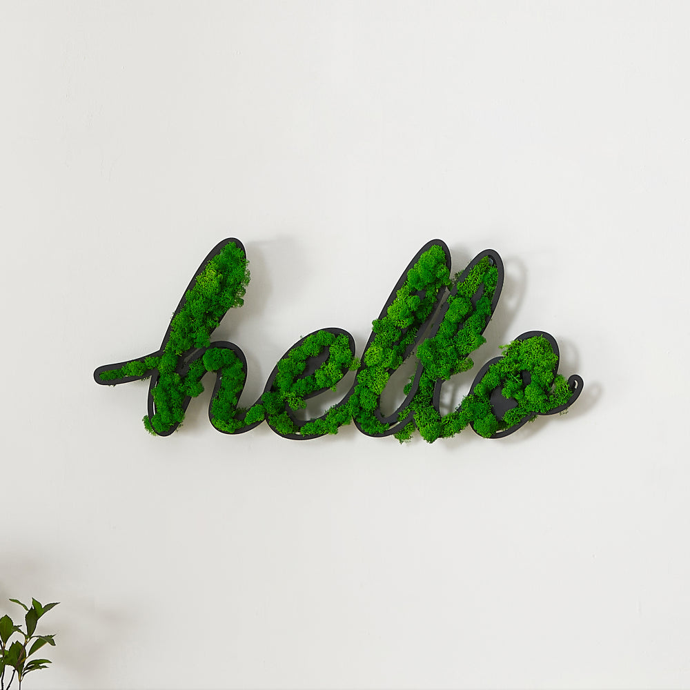 HELLO Letter Art Moss Wall Decor green-iron