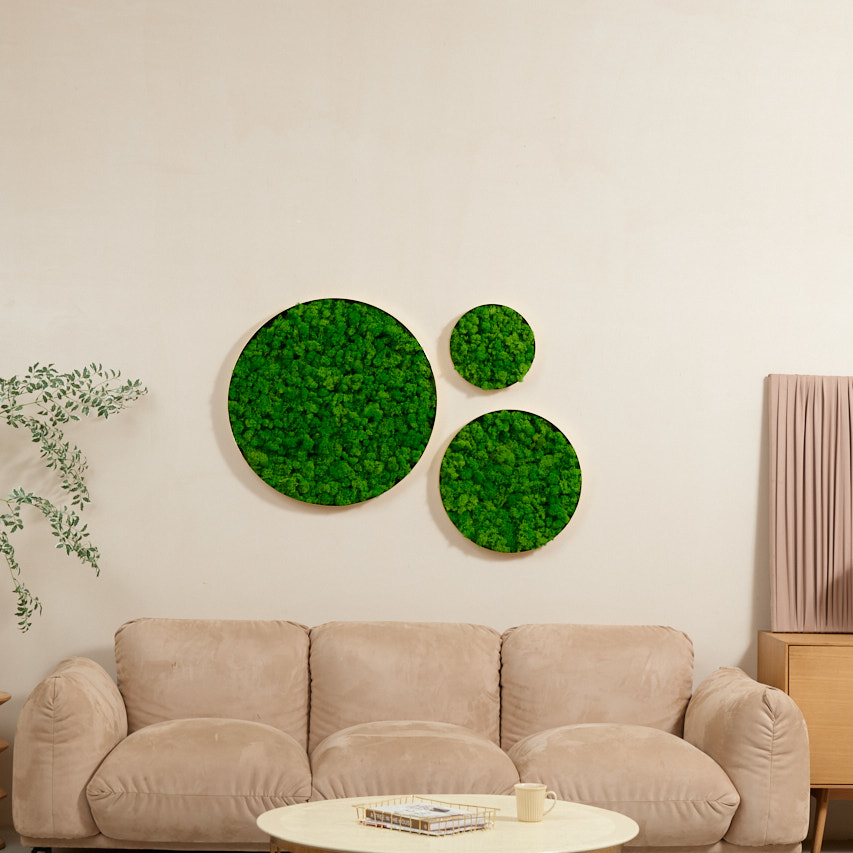 Round Framed Moss Wall Decor, Only The Small Pc Green Iron