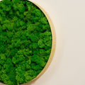 Round Framed Moss Wall Decor, Only The Medium Pc Green Iron