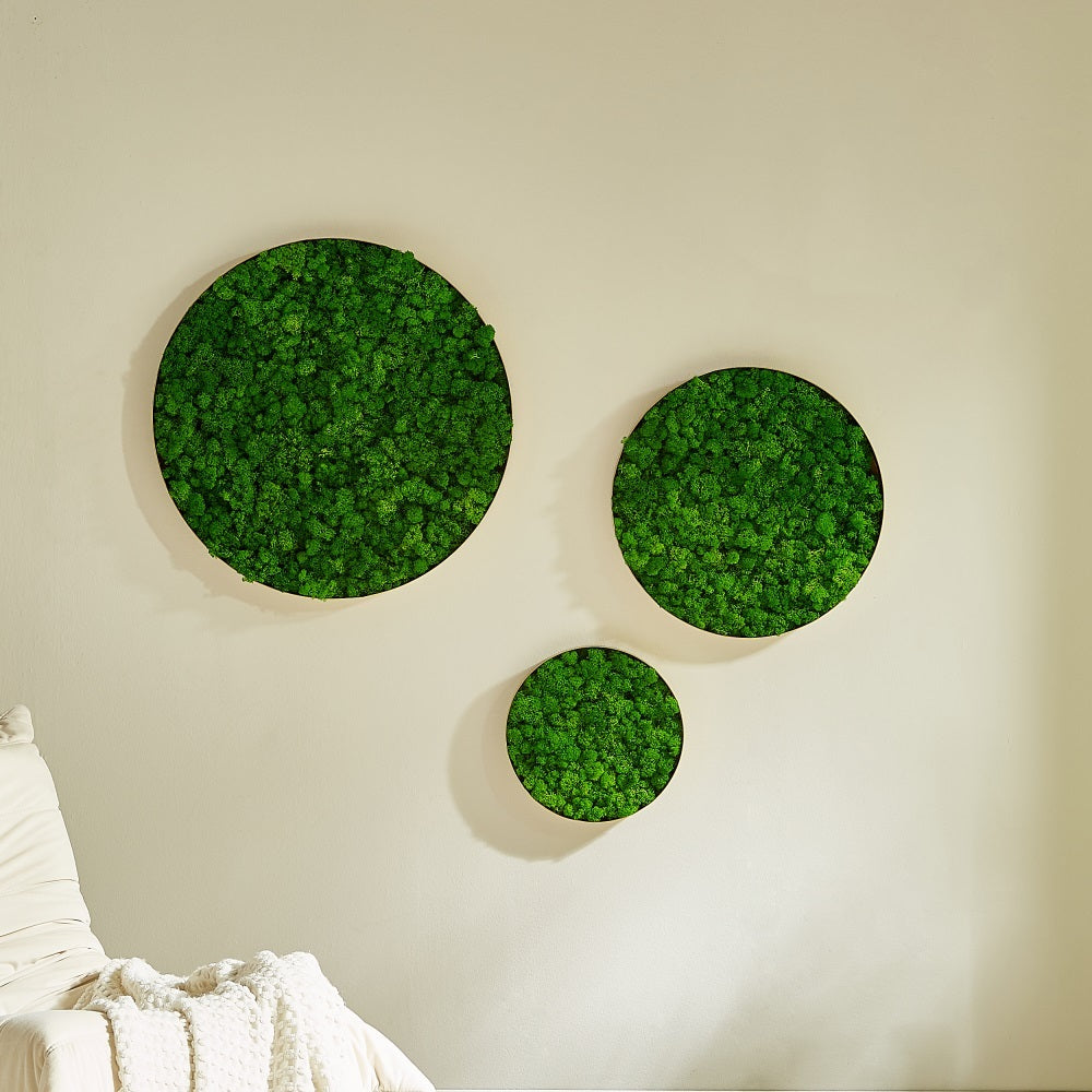 Round Framed Moss Wall Decor 3pcs green-iron