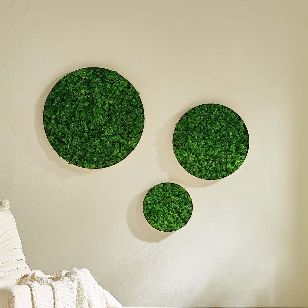 Round Framed Moss Wall Decor 3Pcs Green Iron