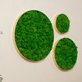 Round Framed Moss Wall Decor, Only The Large Pc Green Iron