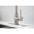 Kitchen Faucet With Pull Down Sprayer Brushed Nickel Stainless Steel