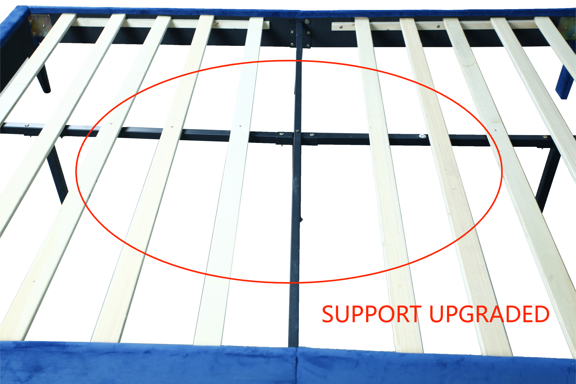 Modern Suede Velvet Curved Upholstered Bed, Trim Queen Dark Grey Polyester Fabric