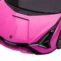 12V Electric Powered Kids Ride On Car Toy Pink Polypropylene