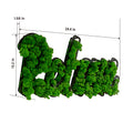 Relax Letter Art Moss Wall Decor Green Iron