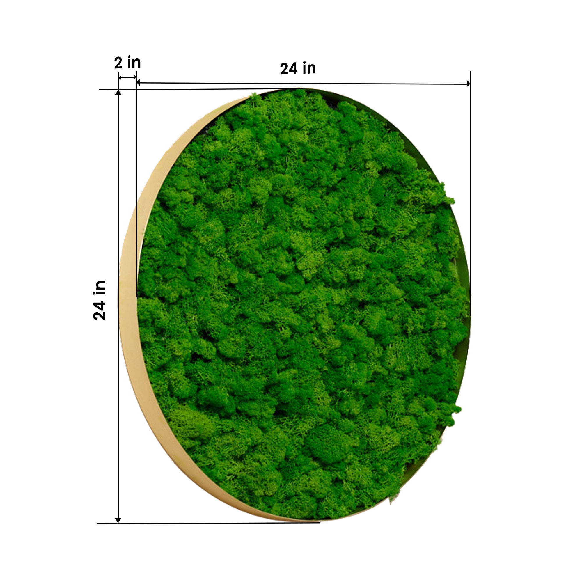 Round Framed Moss Wall Decor, only the Large pc green-iron