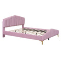 Queen Size Velvet Platform Bed With Thick Fabric, Stylish Stripe Decorated Bedboard And Elegant Metal Bed Leg, Pink Pink Velvet