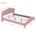 Queen Size Velvet Platform Bed With Thick Fabric, Stylish Stripe Decorated Bedboard And Elegant Metal Bed Leg, Pink Pink Velvet
