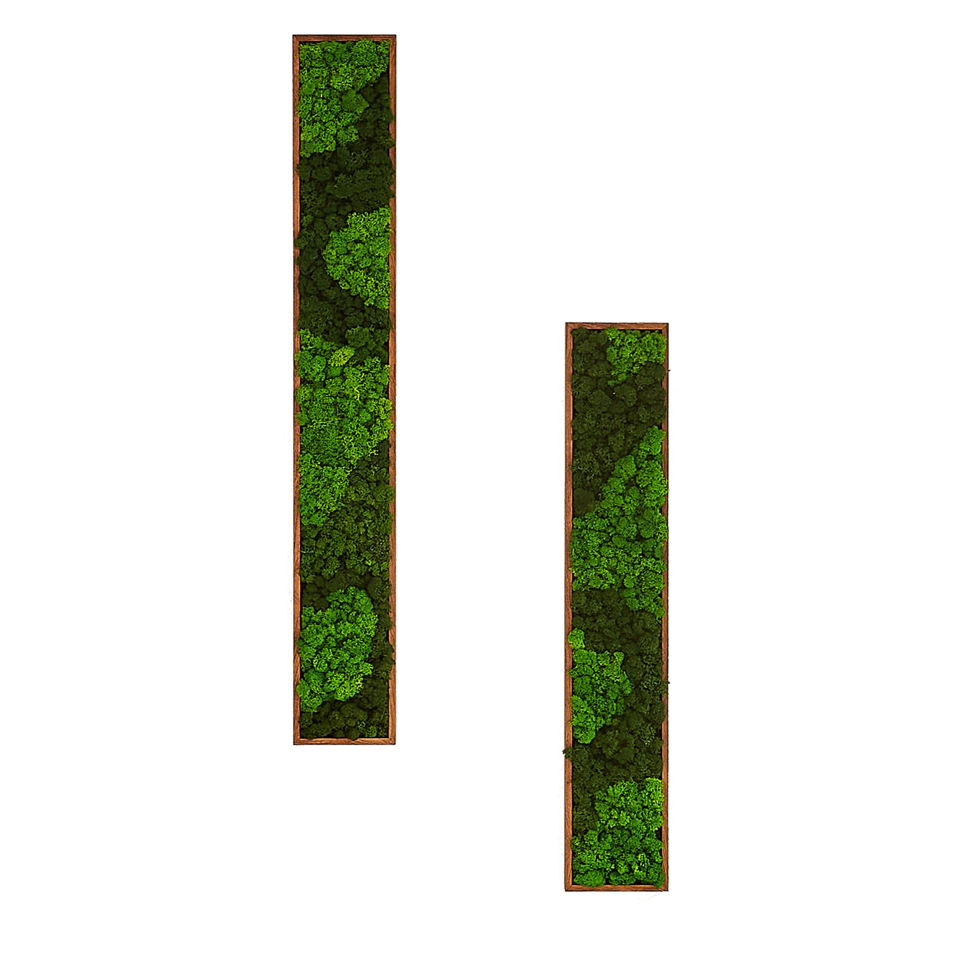 Rectangular Mixed Moss Wall Art, Only The Medium Pc Green Iron