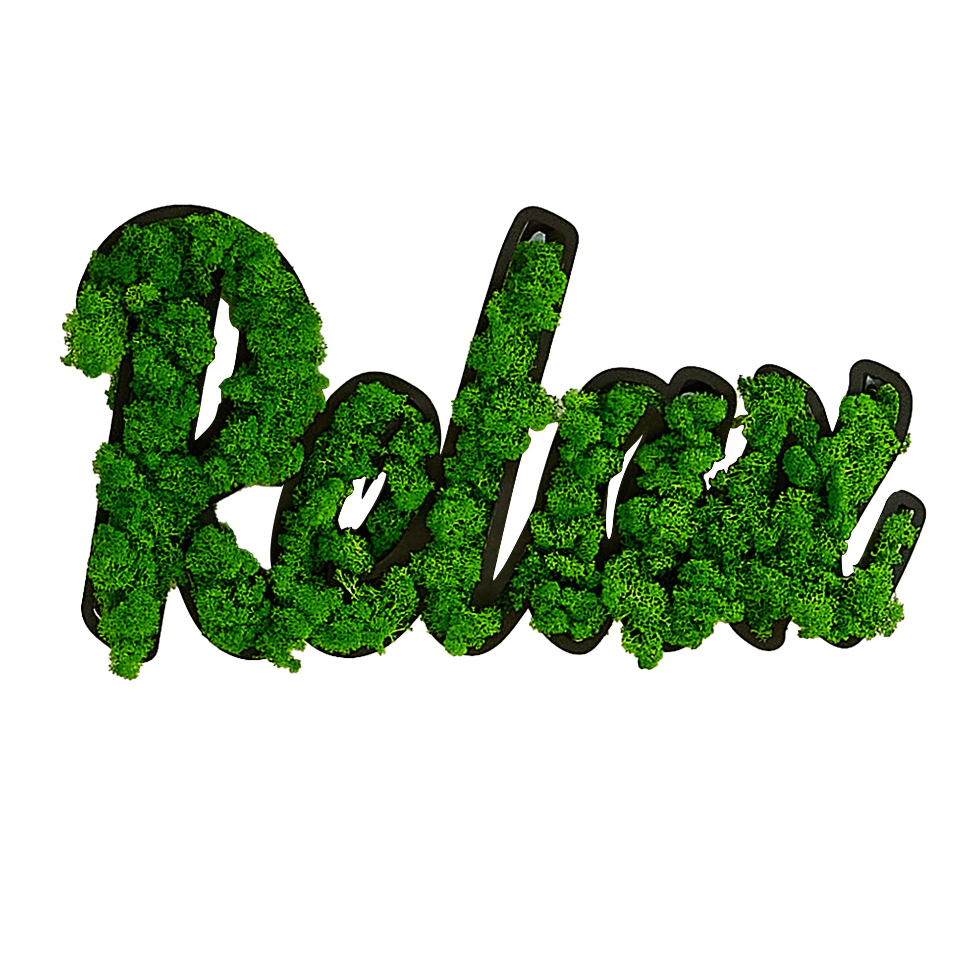 Relax Letter Art Moss Wall Decor Green Iron