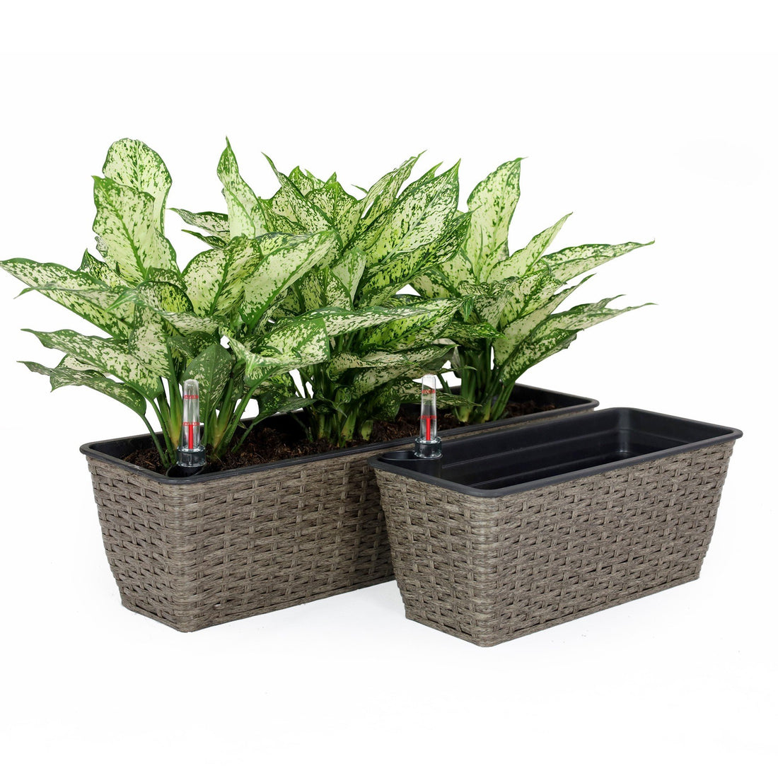 2 Pack Self Watering Planter Hand Woven Wicker Rectangular Dark Gray Dark Gray Plastic Rattan