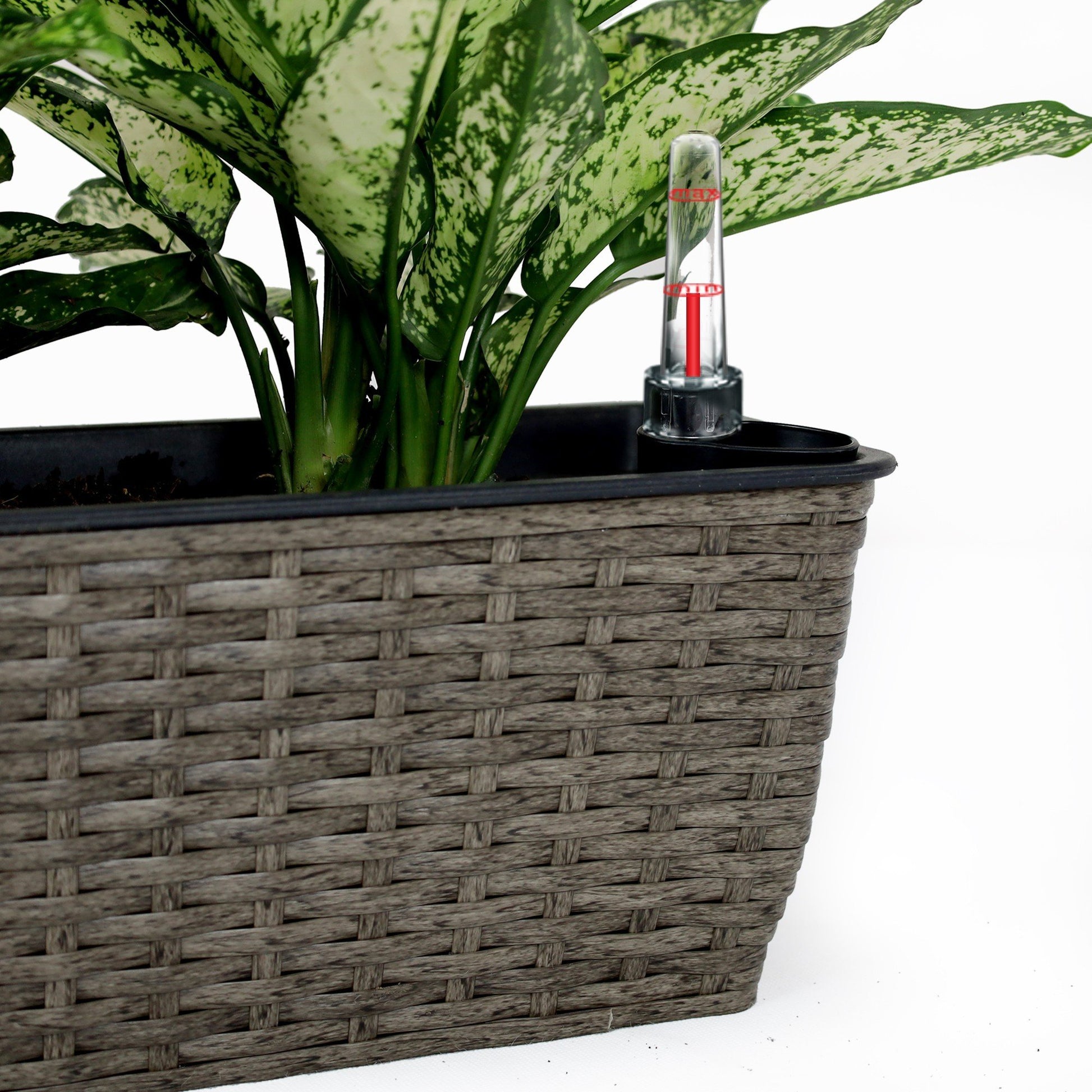 2 Pack Self Watering Planter Hand Woven Wicker Rectangular Dark Gray Dark Gray Plastic Rattan