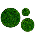 Round Framed Moss Wall Decor, Only The Small Pc Green Iron