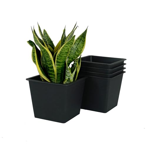 5" Square Nursery Plant Pot Garden Plastic Pots With Drainage 5 Pack Black Plastic