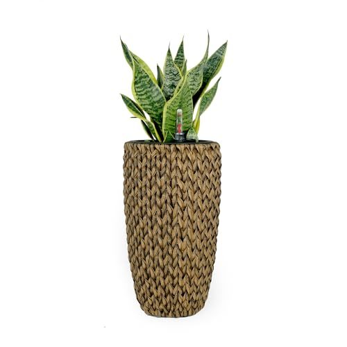 14.6" Self Watering Wicker Planter Garden Decoration Pot Natural Round Natural Rattan Metal