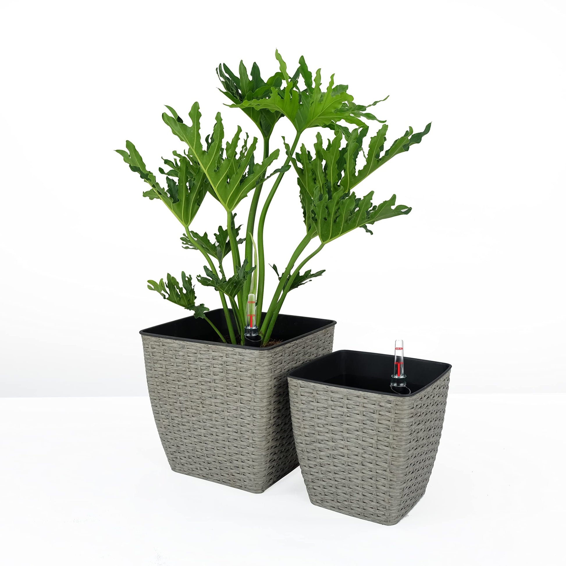 square self watering planter 2 Pack Self Watering Planter Hand Woven Wicker Thin Square Gray Plastic Rattan