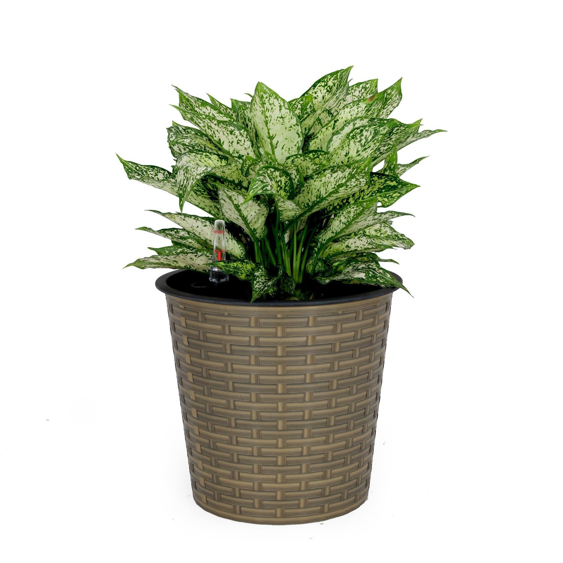 10.2" Self Watering Wicker Decor Planter For Indoor And Outdoor Round Natural Natural Plastic Rattan