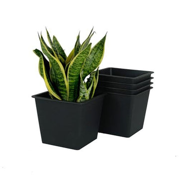 6.3" Square Nursery Plant Pot Garden Plastic Pots With Drainage 5 Pack Black Plastic