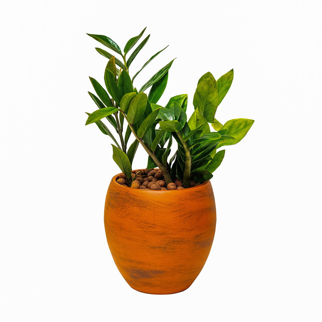 Smart Self Watering Round Planter Pot For Indoor And Outdoor Terracotta Painted Terracotta Abs