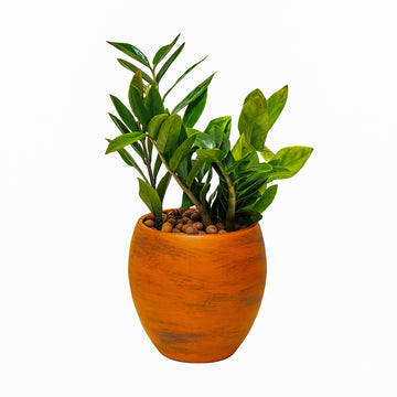 Smart Self Watering Round Planter Pot For Indoor And Outdoor Terracotta Painted Terracotta Abs