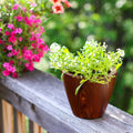 2 Pack 10 In.Dark Wood Plastic Self Watering Planter Pot Dark Brown Abs