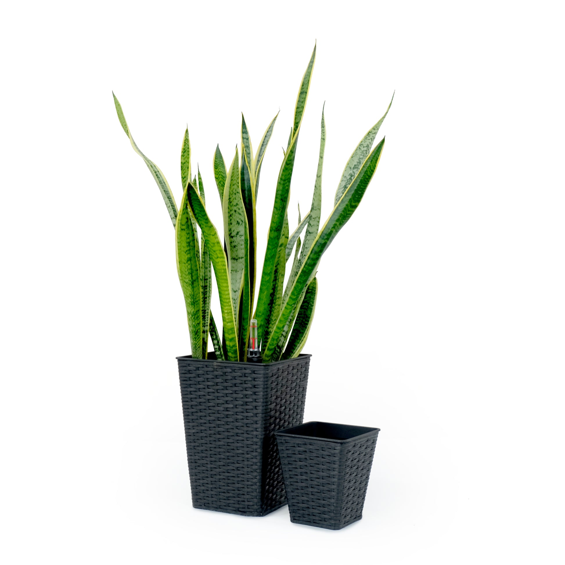 indoor square planter 2 Pack Smart Self Watering Square Planter For Indoor And Outdoor Hand