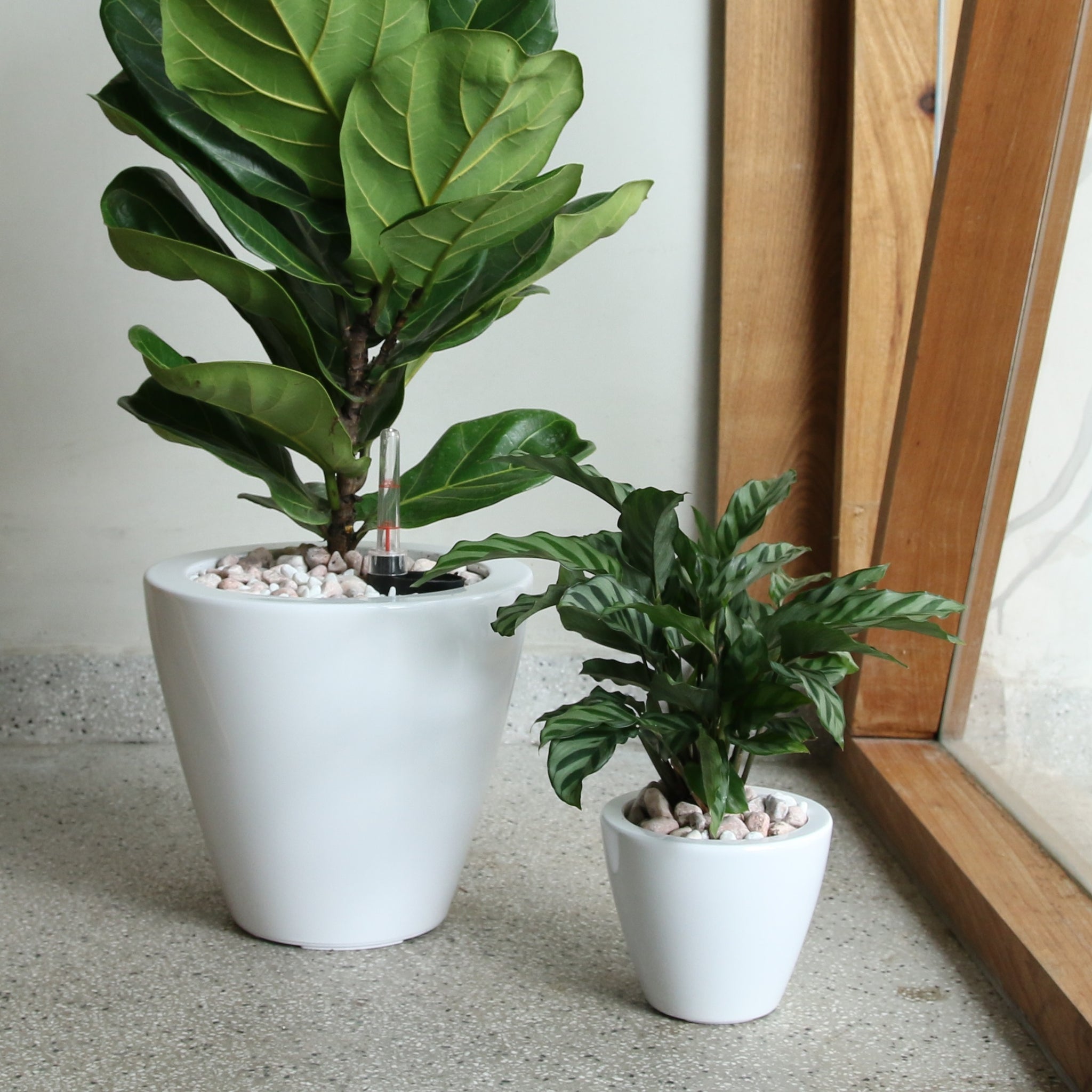 self watering white planter 2 Pack Smart Self Watering Planter Pot For Indoor And Outdoor White Ro