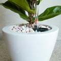 2 Pack Smart Self Watering Planter Pot For Indoor And Outdoor White Round Cone White Abs