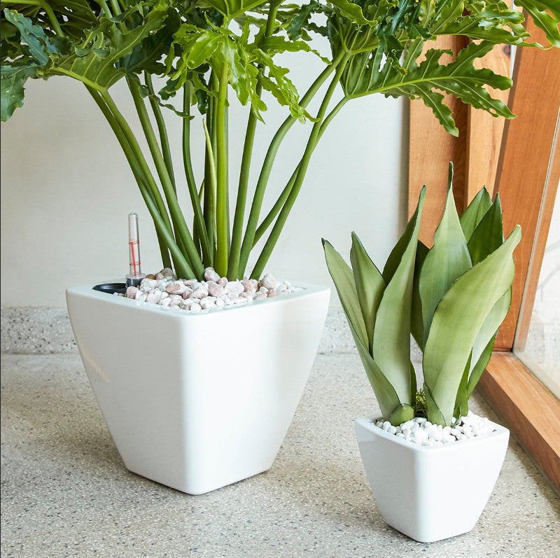 white square indoor plant pot 2 Pack Smart Self Watering Planter Pot For Indoor And Outdoor White Square Cone White Abs