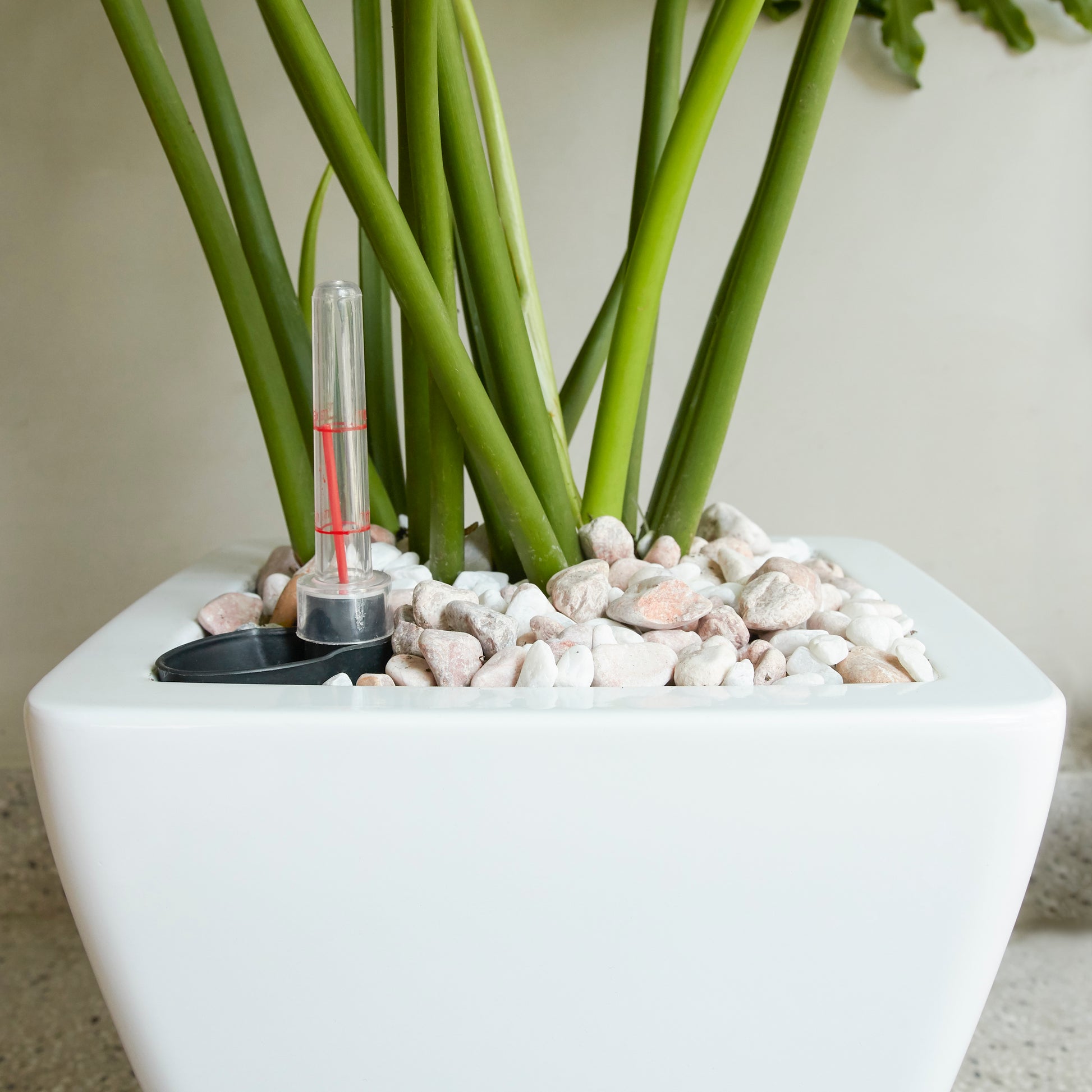 white square indoor plant pot 2 Pack Smart Self Watering Planter Pot For Indoor And Outdoor White Square Cone White Abs
