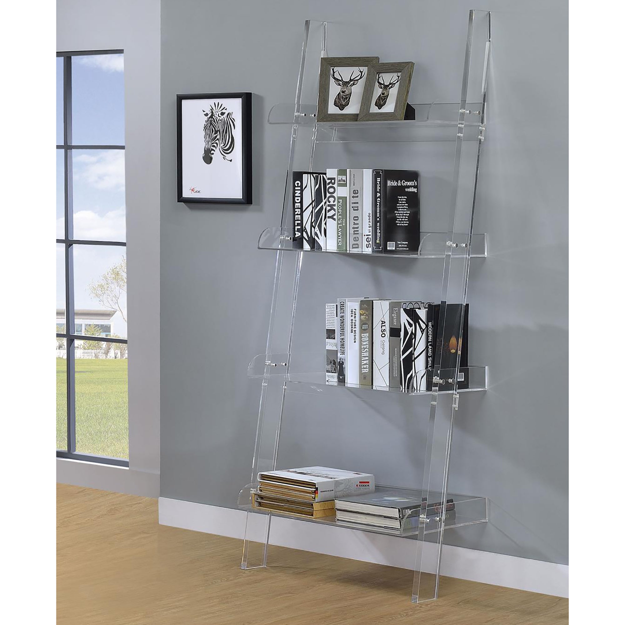 Clear Acrylic Ladder Bookcase